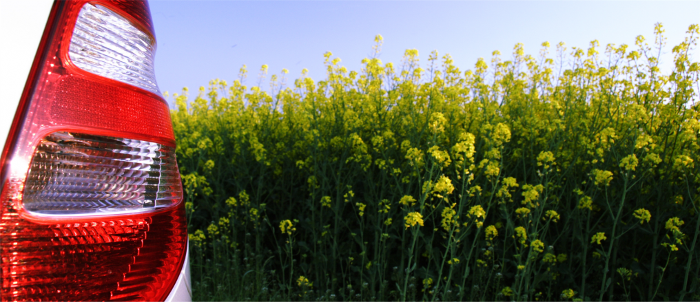 Detailsaufnahme Rücklicht rechts Auto vor Rapsfeld